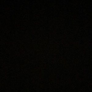 Meet your Posher, Abigail